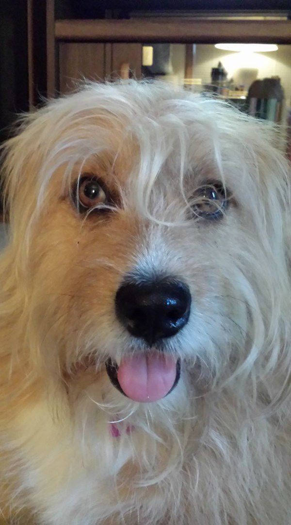 Bailey